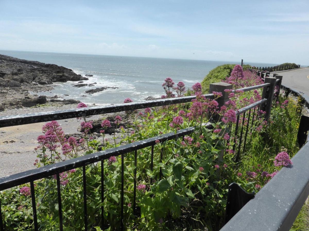 2A Redcliffe Apartment Bishopston Экстерьер фото